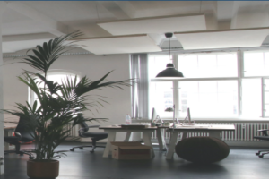 Plaintiff’s Attorney in Wrongful Termination